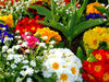Les couleurs de la vie