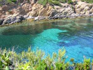 Ile de Port-Cros
